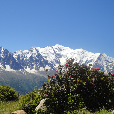 Vue des Alpes